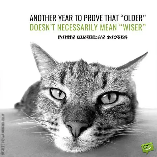 Another year to prove that older doesn’t really mean wiser.