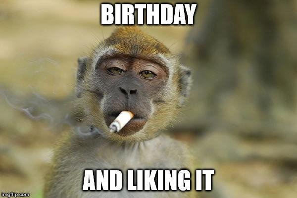 Funny birthday meme of dizzy monkey smoking. | Birthday Wishes Expert Birthday and liking it.