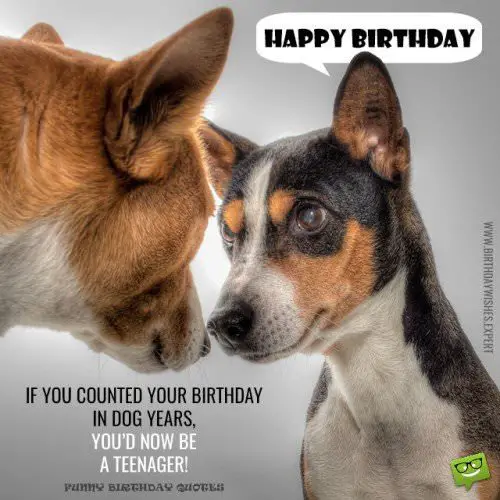 If you counted your birthday in dog years, you'd now be a teenager! Happy Birthday.