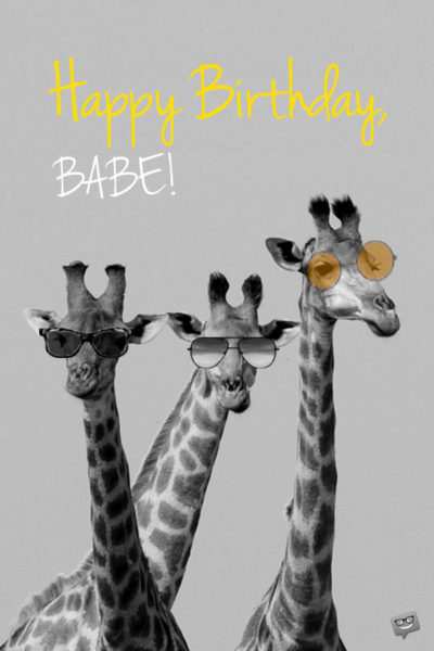 Happy Birthday Babe Funny Giraffes.