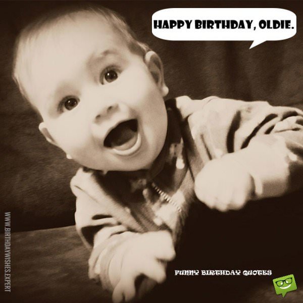Funny Confuscious Happy Birthday - Pin van Ivana Buljan op Happy Birthday ... : In the wild, native to areas like cambodia and thailand, the betta inhabits rice paddies and still watered canals.