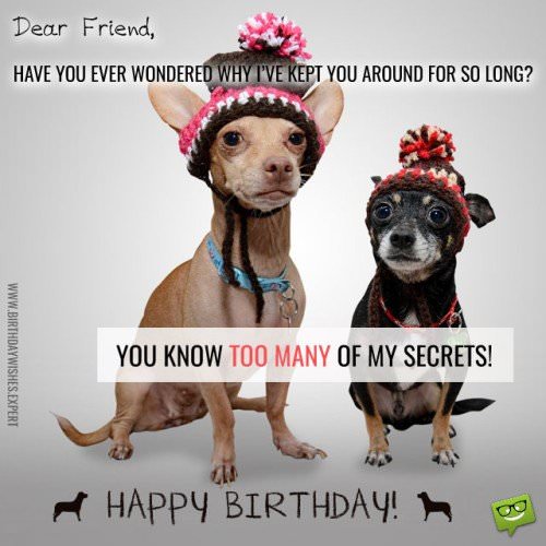 Dear friend, have you ever wondered why I've kept you around for so long? You know too many of my secrets! Happy Birthday!