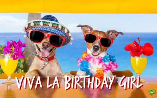 Funny birthday picture with dogs wearing sombreros and drinking cocktails. | Birthday Wishes Expert Viva la birthday girl.