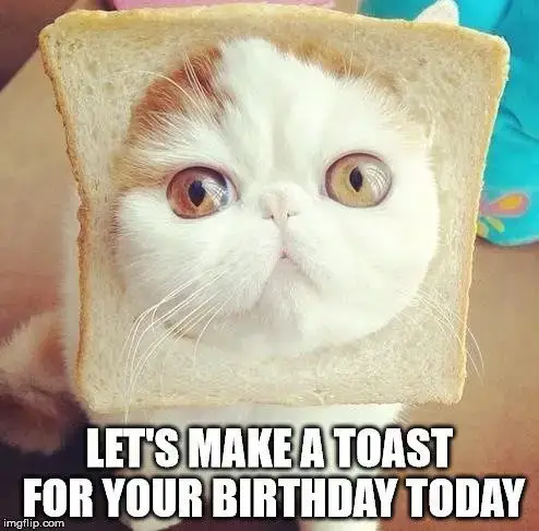 Let's make a toast for your birthday today.