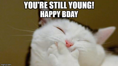 Funny happy birthday meme of laughing cat holding its mouth with its paw. | Birthday Wishes Expert You're still young! Happy Bday.