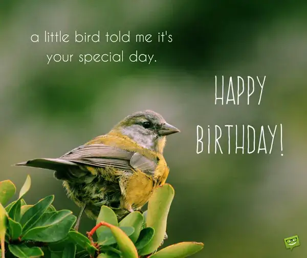 A little bird told me it's your special day. Happy Birthday!