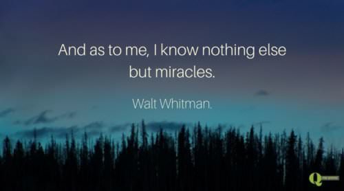 And as to me, I know nothing else but miracles. Walt Whitman.