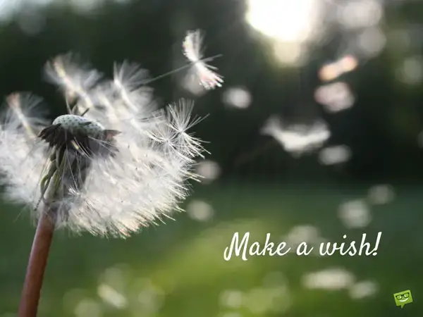 Make a wish!