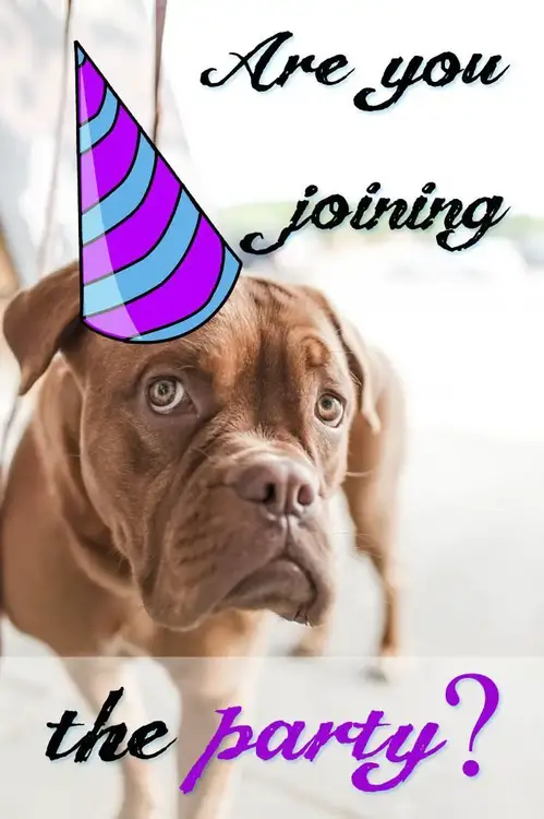 Join-the-party-kids