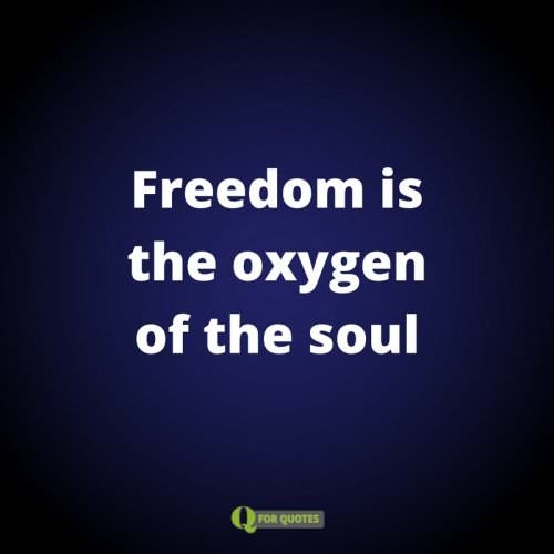 Freedom is the oxygen of the soul. Moshe Dayan