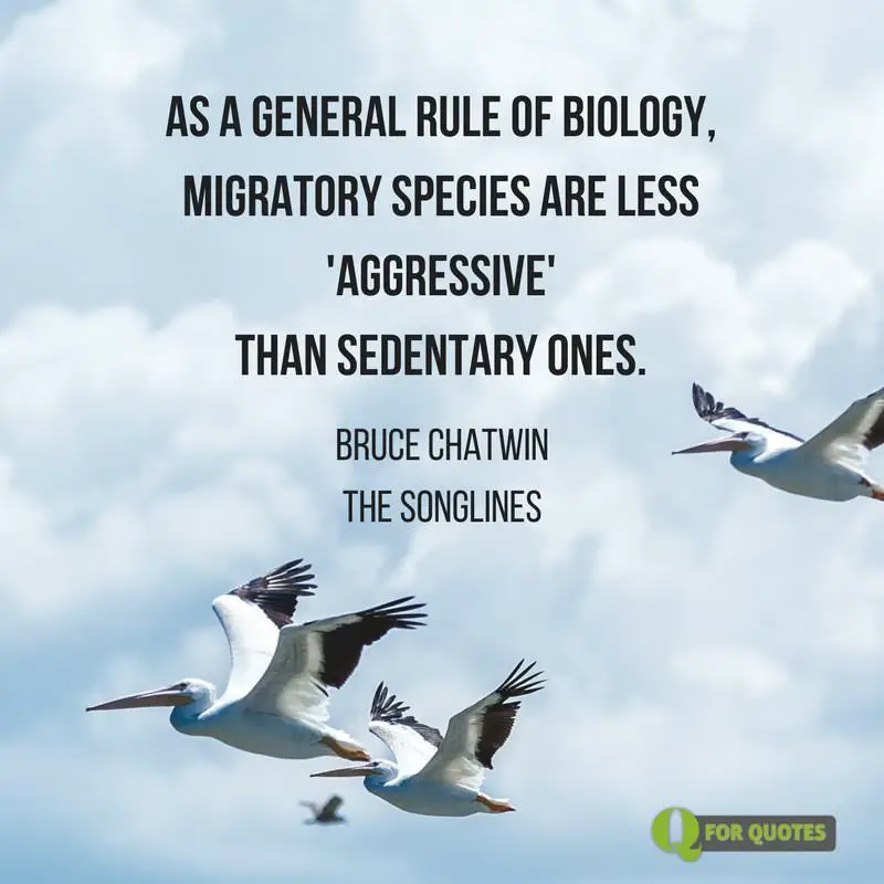 Famous Quotes on Images (Part 4)