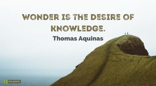 Wonder is the desire of knowledge. Thomas Aquinas.