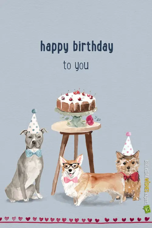 Happy Birthday Cute Dog Heart Touching Wishes For Puppies