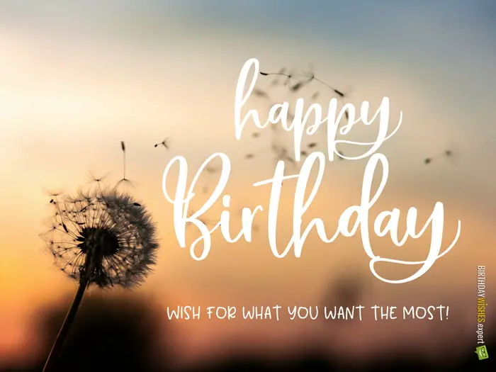 Happy Birthday Card Quotes Happy Birthday Card Quotes