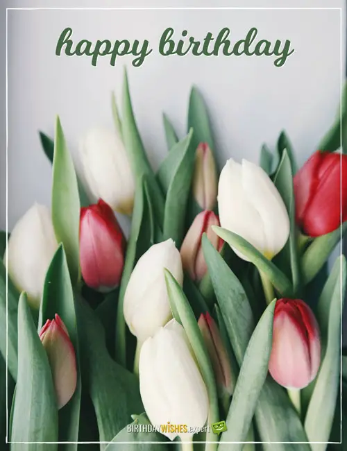 300+ Great Happy Birthday Images for Free Download & Sharing | Birthday ...
