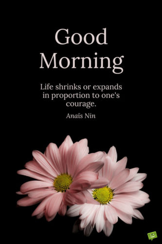 Good Morning. Life shrinks or expands in proportion to one's courage. Anais Nin