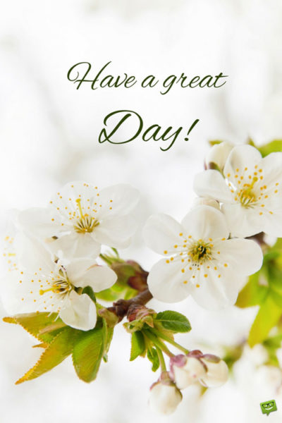 24 good morning cards to help you start the day