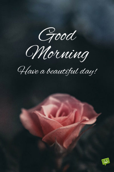 Good Morning. Have a beautiful day.