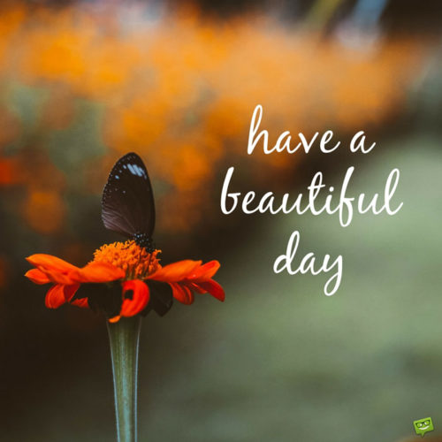 Have a beautiful day.