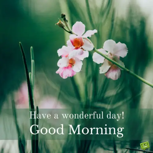 Have a wonderful day! Good Morning.