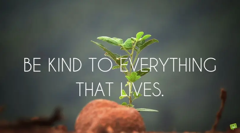 Image result for kindness quotes