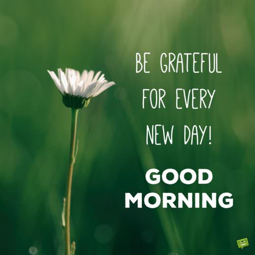 Be grateful for every new day! Good Morning.