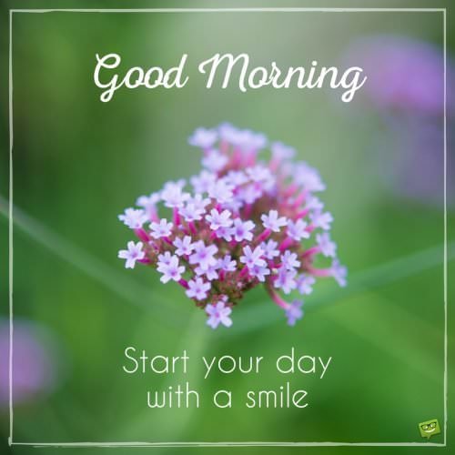 Good Morning. Start your day with a smile.