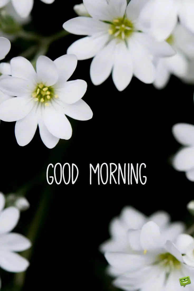 34 Brilliant Good Morning Quotes to Make your Day!