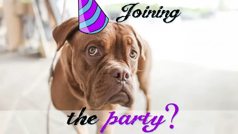 Birthday Party invitation ideas.