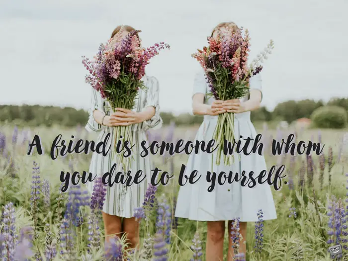 The 20 Most Beautiful Friendship Quotes