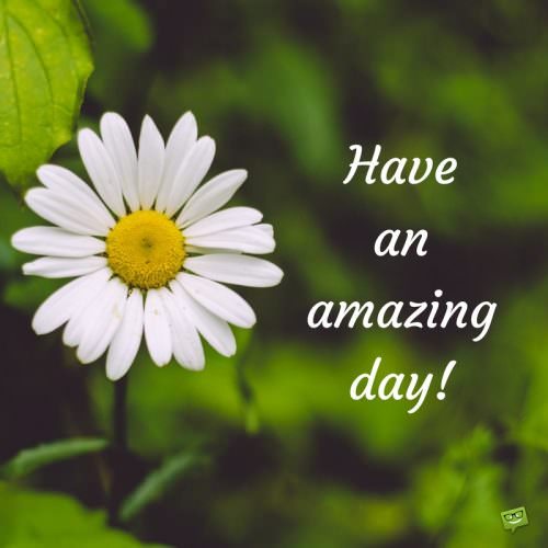 Have an amazing day!