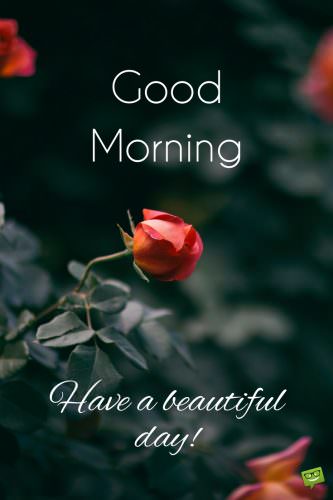 Good Morning. Have a beautiful day.