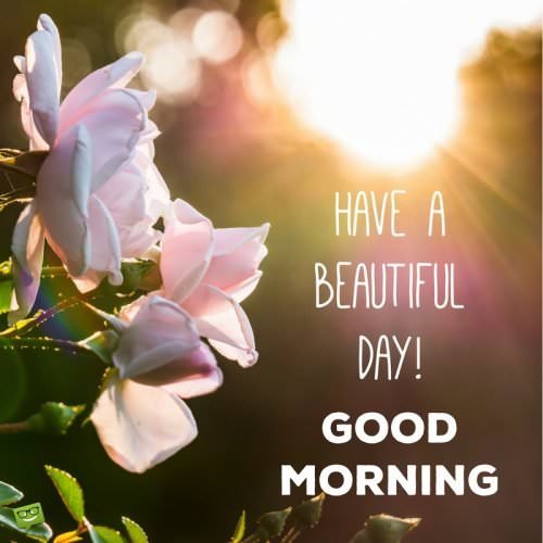 Have a beautiful day! Good Morning.