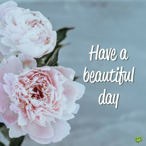 Have a beautiful day.