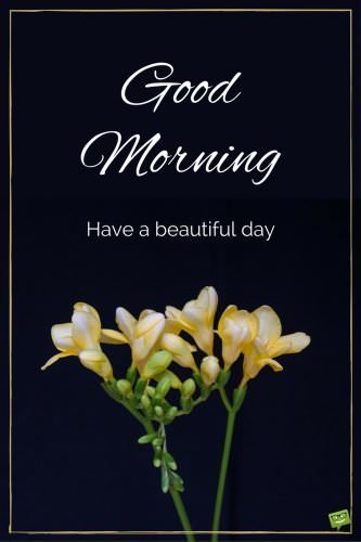 Good morning. Have a beautiful day.