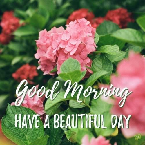 Good Morning. Have a beautiful day.