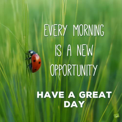Every morning is a new opportunity. Have a great day.