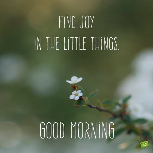 Find joy in the little things. Good morning.