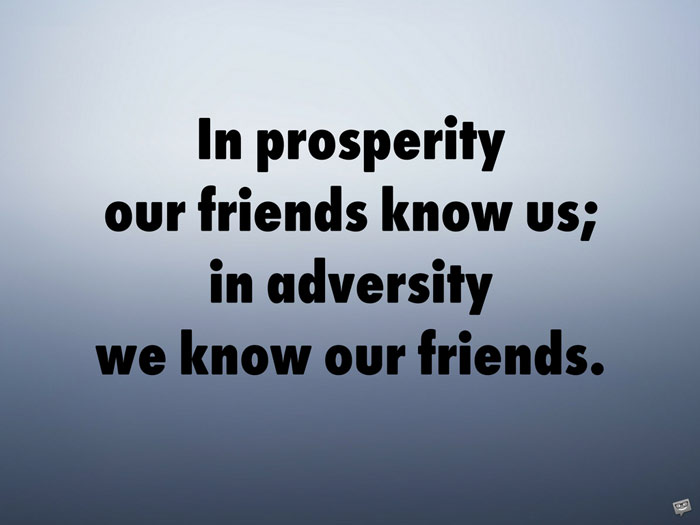 The 200 Most Beautiful Best Friend Quotes