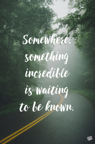 Somewhere, something incredible is waiting to be known.