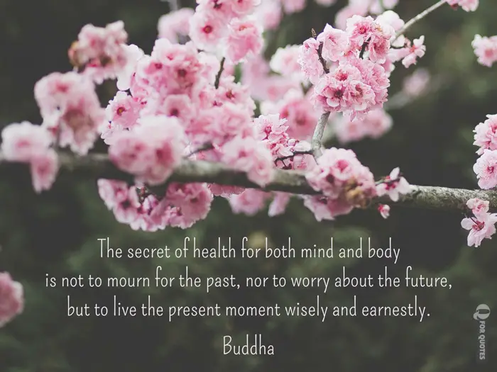 Buddha Quote About Living In The Present Moment Buddha Quote About Living In The Present Moment
