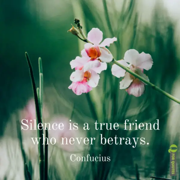 Collection 27+ Background Images silence is a true friend who never betrays Excellent