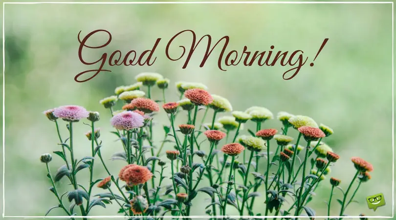 Start your day with a smile - Floral Cards Start your day with a smile - Floral Cards
