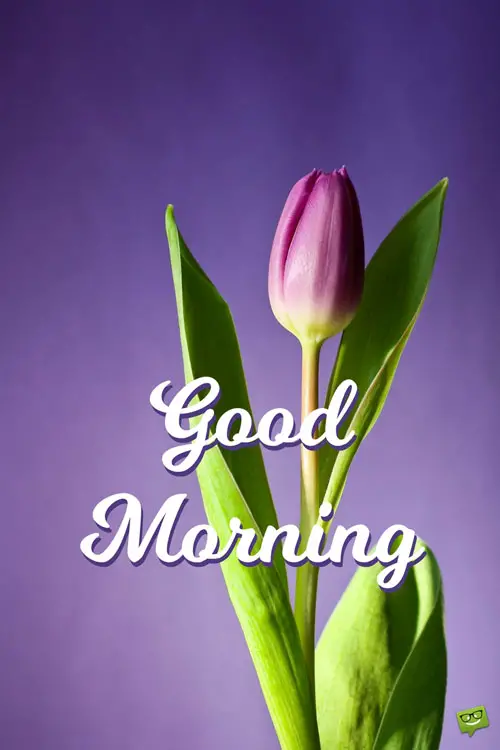 Start your day with a smile - Floral Cards Start your day with a smile - Floral Cards