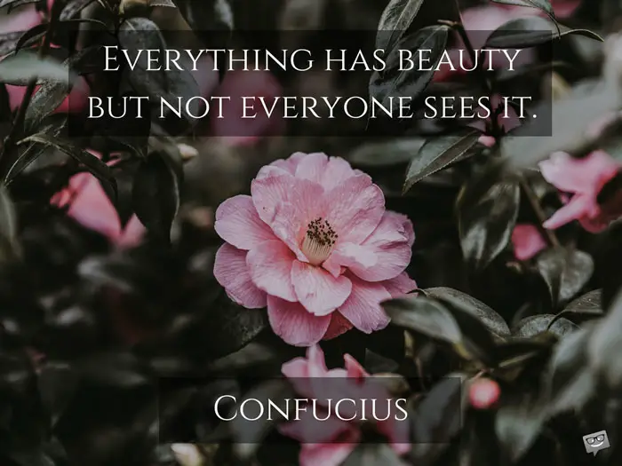 20 Confucius Quotes to Inspire a Better Life