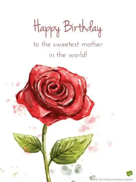 Happy Birthday to the sweetest mother in the world.