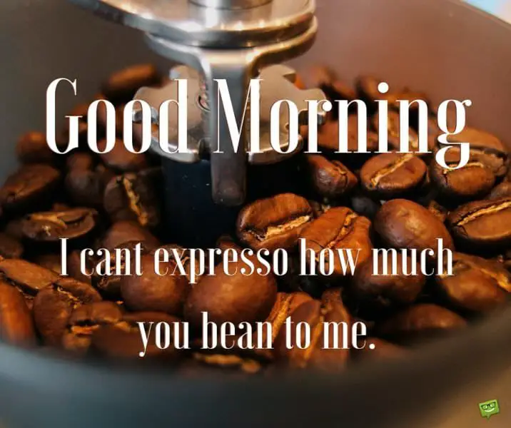 Good morning. I can't expresso how much you bean to me.