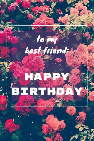 15 Birthday Wishes on eCards to Share for Free