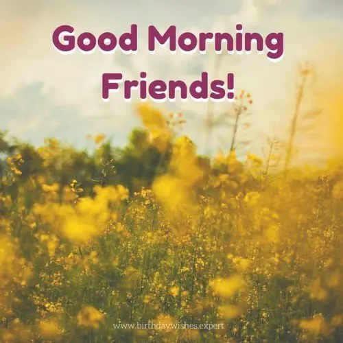 Good Morning Friends!