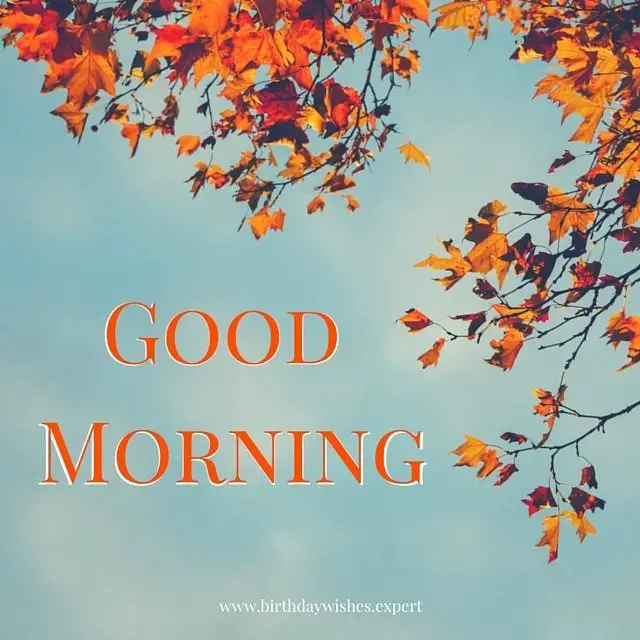15 good morning images for free download